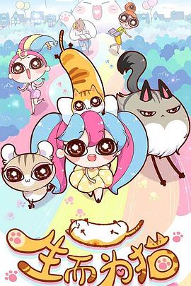 网站优化费用多少